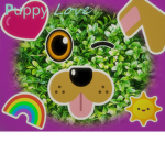 frogs friend