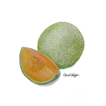 • cantaloupe home store •