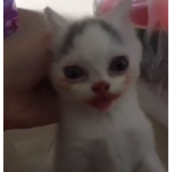 booglflooge playground