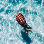 aloha vibees