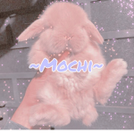 Mochi.Boba