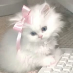 .profile themes Group Thumbnail