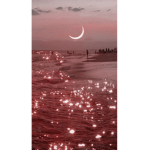 *+- Sunny Dreams -+*