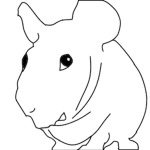 HairlessRat Systems