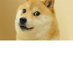 Doge PR0S