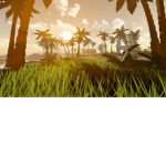 XTremeJump Trampoline Park
