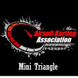 Go Karting at the Mini Triangle