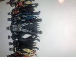 The new bat family