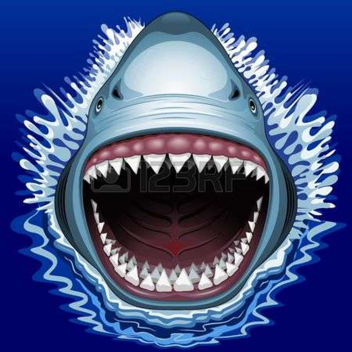 Survival From The Scary Killer Shark!