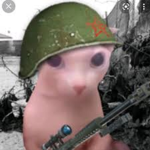 Bingus Army1092