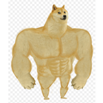 D0g3 Club