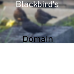Blackbird's Domain
