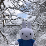 miffy fan