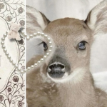 + Deer Squad +