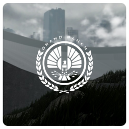 Grand Panem | Combat Grounds