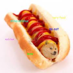 Hotdogy club