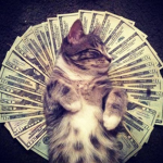 cashkitty