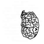 Chomnipedia