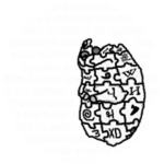 Chomnipedia