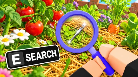Search For The Needle