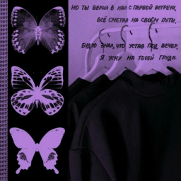 ┆