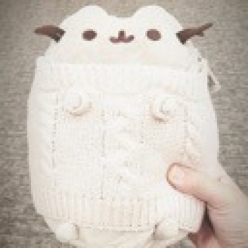 Survive The Awesome Disasters! (Amazing)