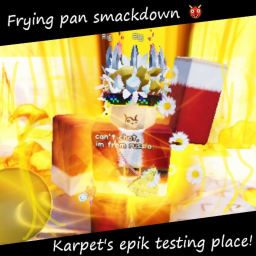 Karpet's epik test place