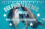 Dolphin Friends Group