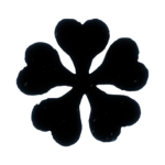 [AS] Dark Clover