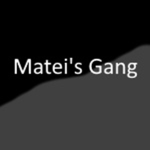 Matei's Gang