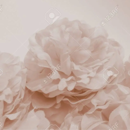 𝓉𝑒𝒹𝒹𝓎