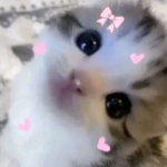White Furry
