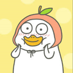Hay00