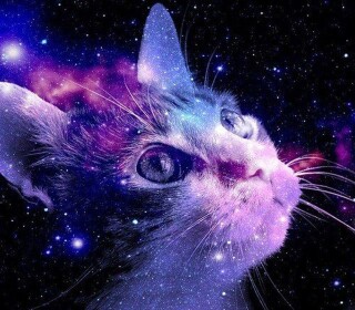 Galaxy Cats (WIP)