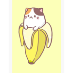 Kitten Cat Fan Club :3