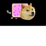 DOOOOOOOOOOOOOGE
