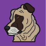 Moxxi Productions