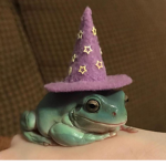 Forg with hat