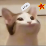 CatsUnited!!!!