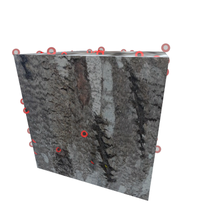 SCARRED COBBLE(trex)