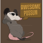 Awsome Possum Crew