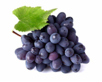 Grape Warriors