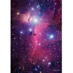 Computer Galaxies