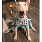 Walter da gang