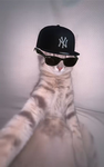 MRASTROX12