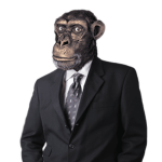 Cool Monkeys2.0