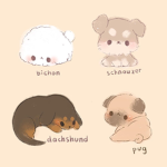 :)dogs rule!