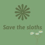 STS(Save The Sloths)