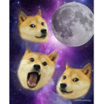 Triple doge meme team