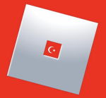 Türklerin Dünyasi